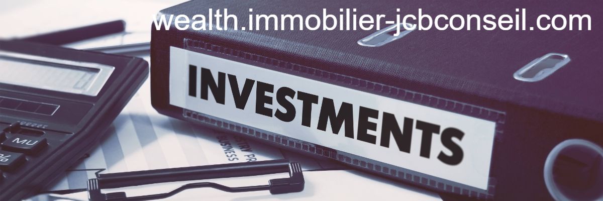 wealth.immobilier-jcbconseil.com